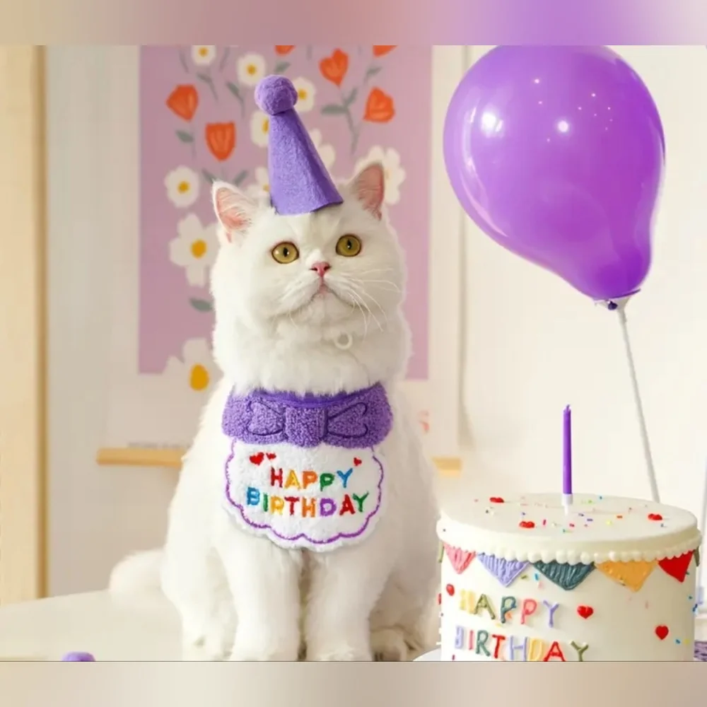 Purple Party Hat and Bib Set for Pets